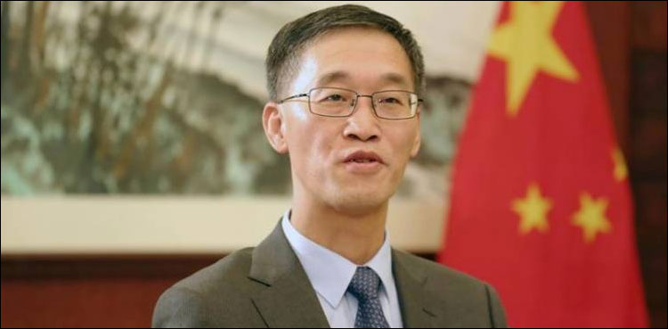 CPEC leaving positive impact on Pakistan economy: Chinese envoy