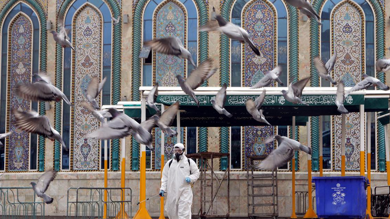 Coronavirus: 12 new cases reported in UAE