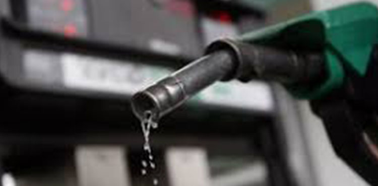 Import of petrol, crude oil to be restricted from April 1