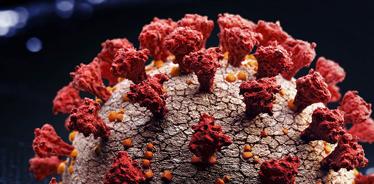 Pakistan on high priority list for US COVID-19 fund