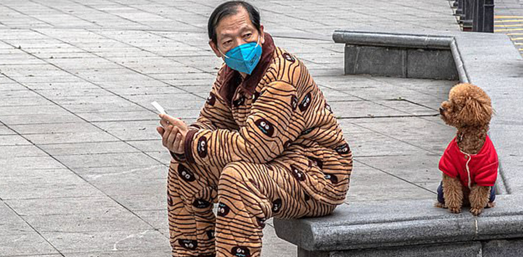 Shenzhen slaps ban on cat, dog meat consumption