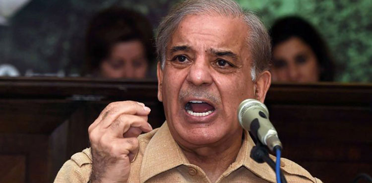‘Govt should announce agriculture policy’: Shehbaz
