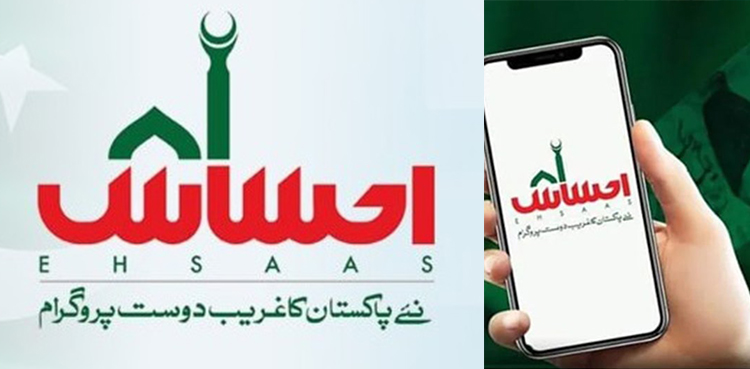 Ehsaas Undergraduate Scholarship portal