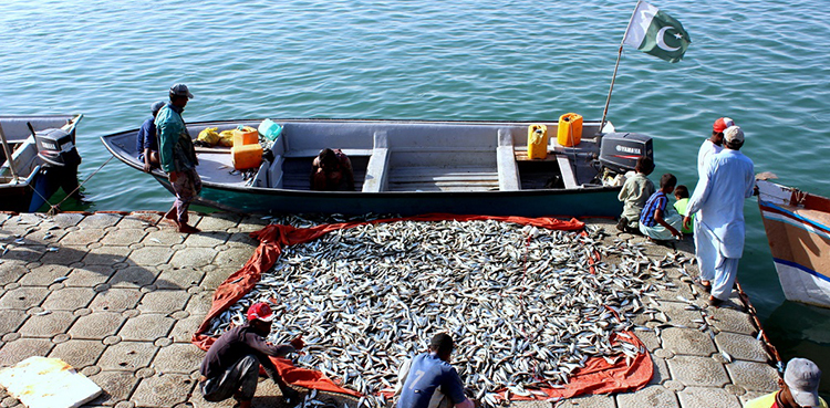 Fishing activities suspended in Gwadar due to coronavirus threat