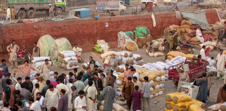 Food supply may fall short: economists