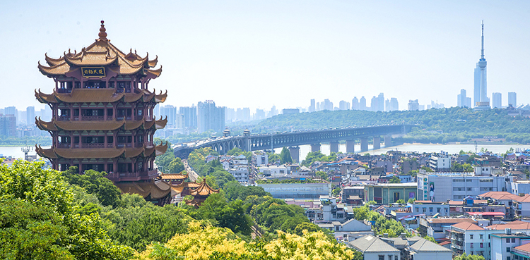 After Wuhan, Northern provinces of China witness the rise of COVID-19 cases