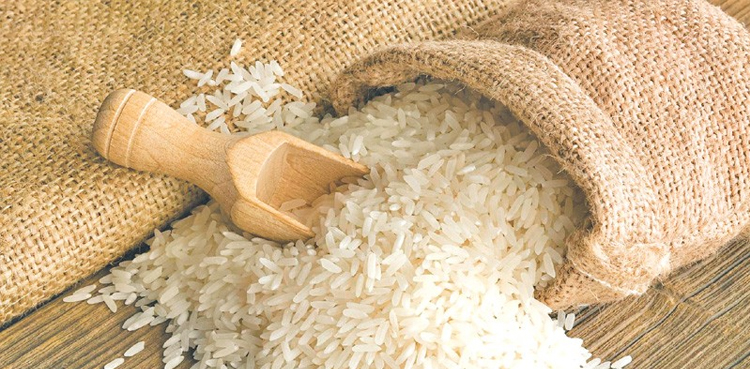 China ships 500 tonnes of hybrid rice seeds to Pakistan