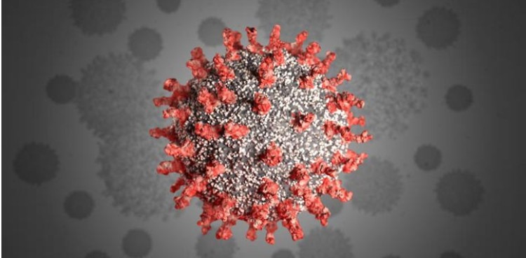 Let’s hope sanity prevails in politics