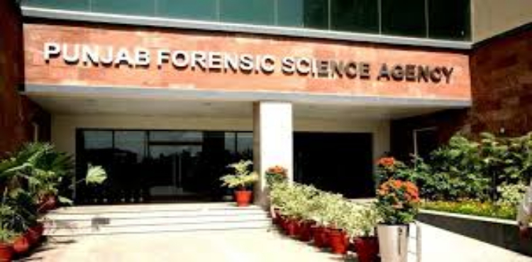 PIA plane crash: Punjab Forensic Science Agency personnel arrive in Karachi for DNA verification of victims