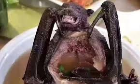 WHO says has no proof from US on ‘speculative’ Wuhan lab claims