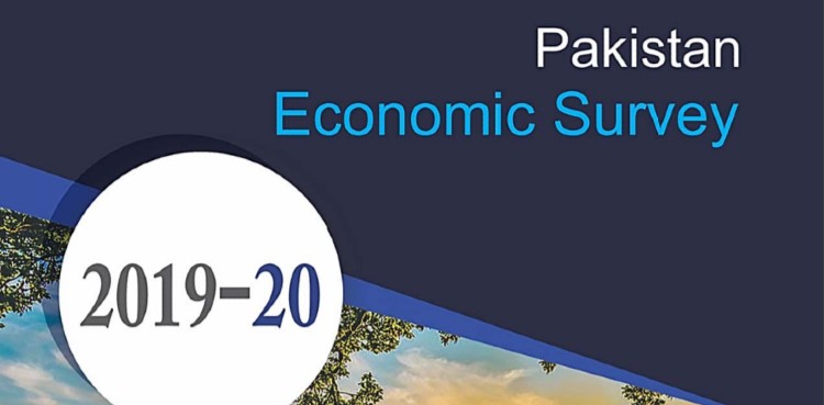 Economic Survey 2019-2020