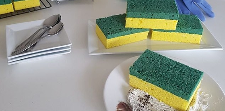 Dishwashing sponge or dessert? Optical illusion