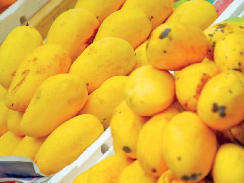 Pakistan’s mango exports: exports decline due to coronavirus restrictions