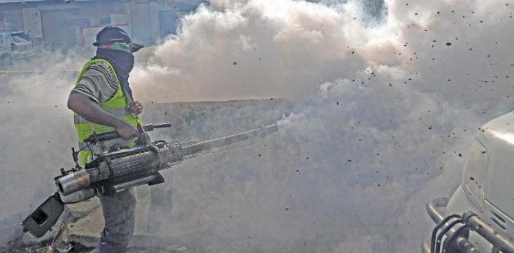 Sindh Government to start fumigation campaign against dengue and Malaria