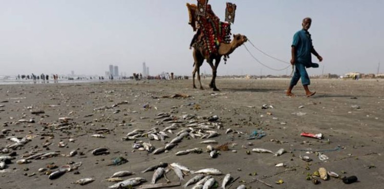 Karachi’s sea view