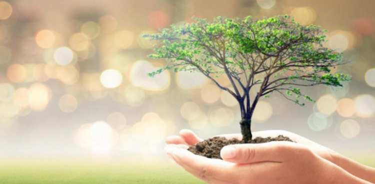 Pakistan Champion for Nature