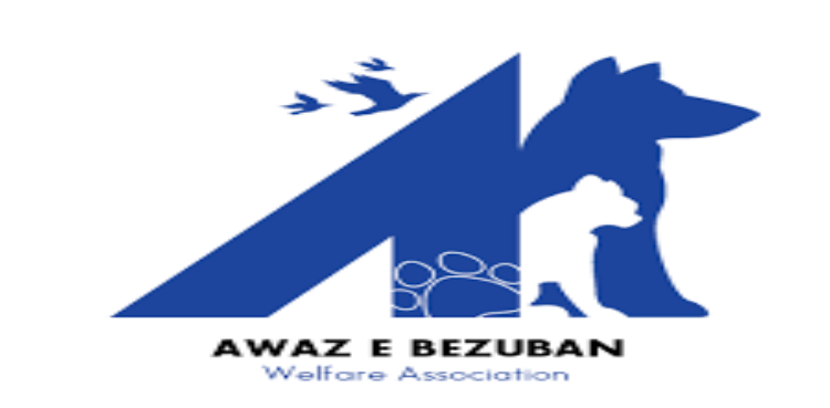 Awaz e Bezuban shelters camp