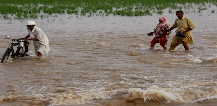 Floods wreak havoc Sindh