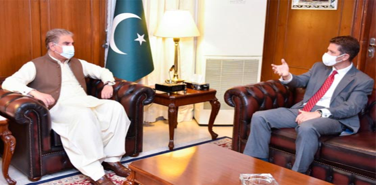 FM Qureshi British High Commissioner