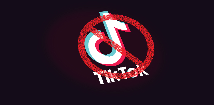 SHC bans TikTok