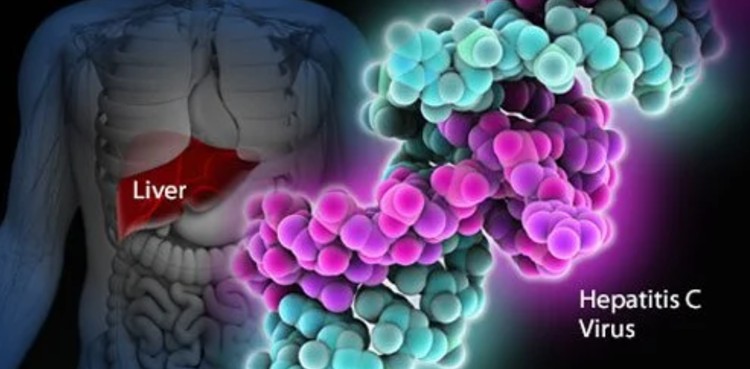 US-British trio win Nobel Medicine Prize for Hepatitis C discovery