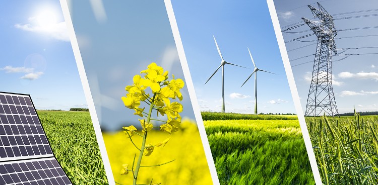 Government to transform the outlook of the energy market under new Alternative Renewable Energy Policy