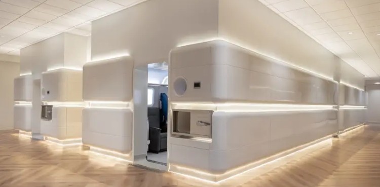 Curious case of reverse aging, Israeli scientists claim breakthrough