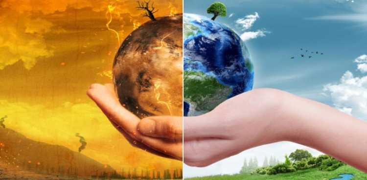 Global Warming study