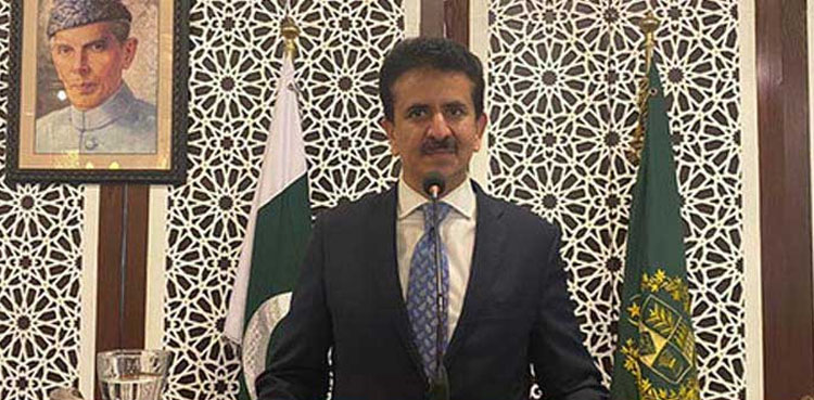 Time for world to see ‘India as state-sponsor of terrorism’: Pakistan