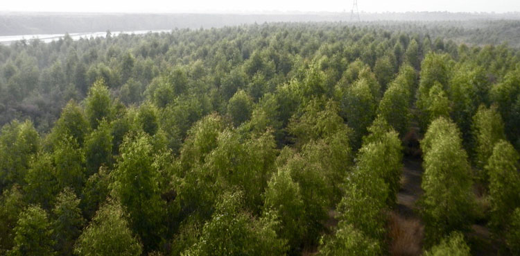 Pakistan improves on global climate change vulnerability rankings