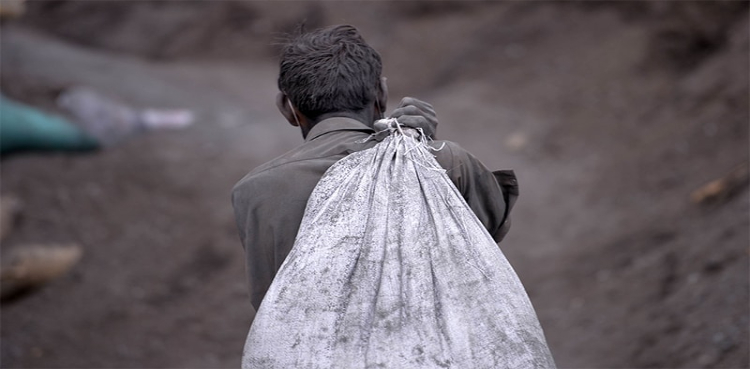 Benazir Bhutto Mazdoor Cards