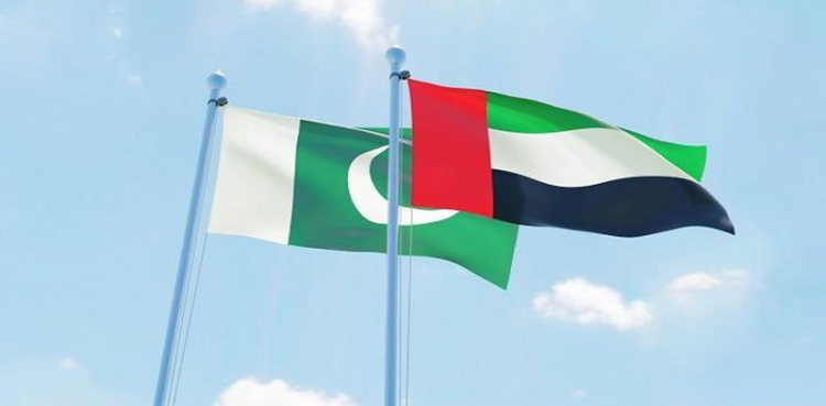 Pakistani expatriates NICOP UAE