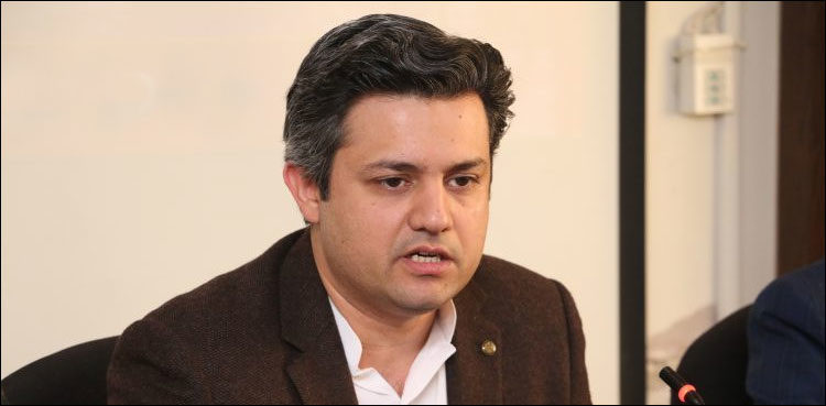 hammad azhar finance minister