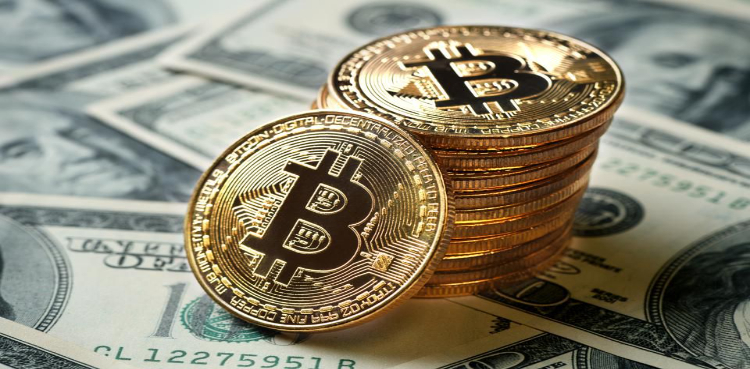Bitcoin Elon Musk