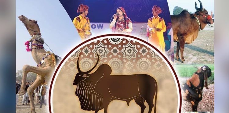 Sindh livestock expo 2021 to be held from March 13-15 in Hyderabad