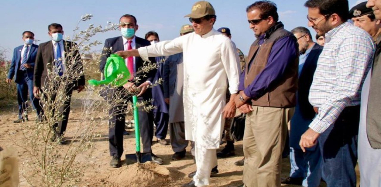 PM Imran Khan plants olive sapling in huge plantation initiative