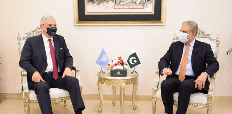 UNGA President Volkan Bozkir, FM Qureshi mull over Palestine, Kashmir issue