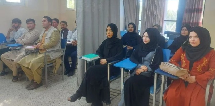 Male, female students divided by curtains in classes as Afghanistan reopens universities