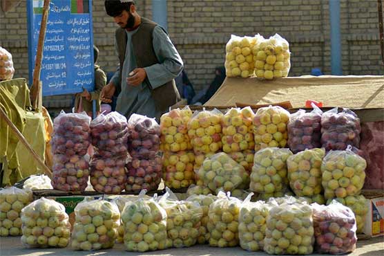 Afghanistan’s food crisis a ‘legacy’ of previous government: Taliban