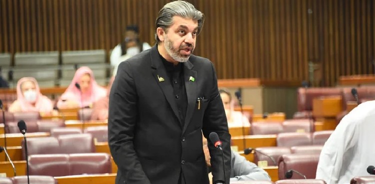 Will welcome TLP into national mainstream: PTI’s Ali Muhammad