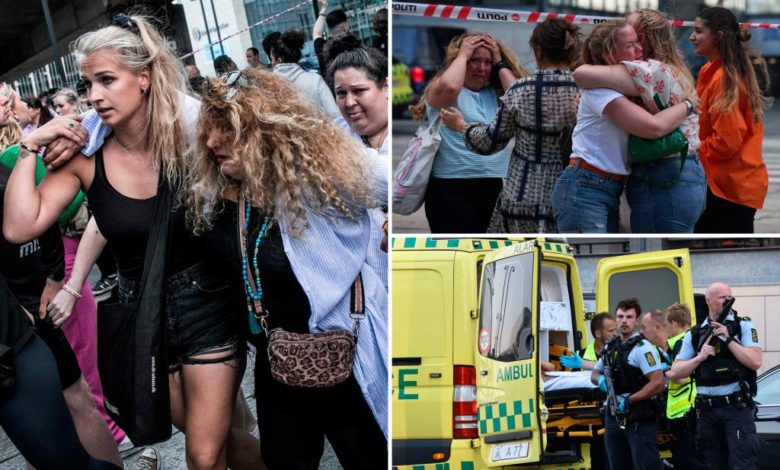 Copenhagen, 3 killed in shooting at mall