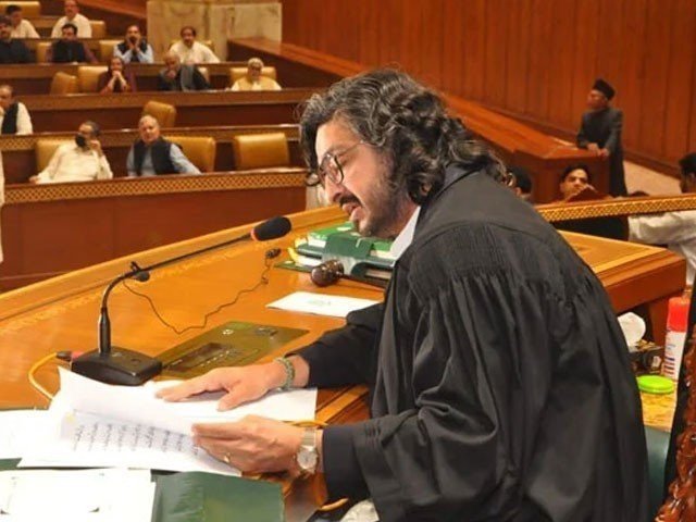 Deputy speaker did not point out paragraph on 63(A) verdict, SC