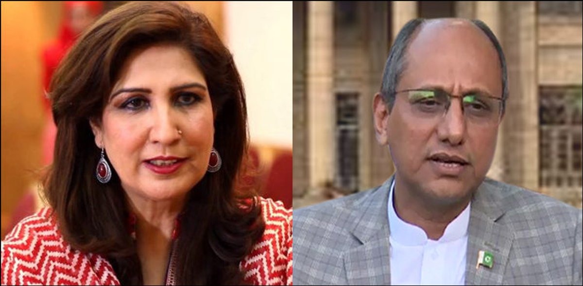 Saeed Ghani, Shehla Raza resigns from their portfolios