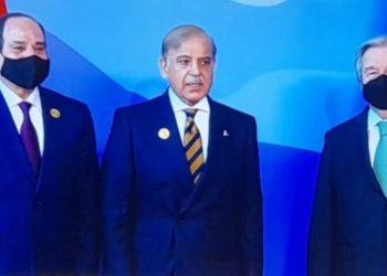 World community to take joint responsibility for climate change as Pakistan, PM