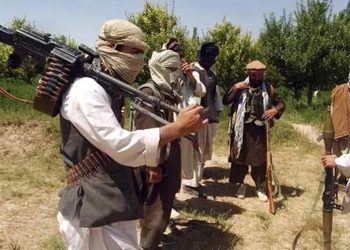 KP govt offers talks to TTP