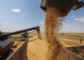 Pakistan imports 450000 metric tons wheat from Russia