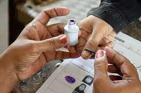 ECP halts result of three UCs on application of JI