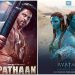 Pathaan surpasses reigning box office giant Avatar on opening day