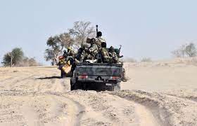 Niger forces killed 30 members of the Boko Haram