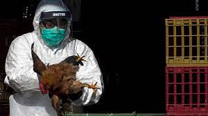 China records world’s first human death from H3N8 bird flu